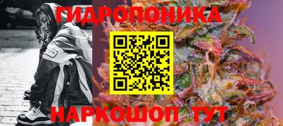 шишки Тула