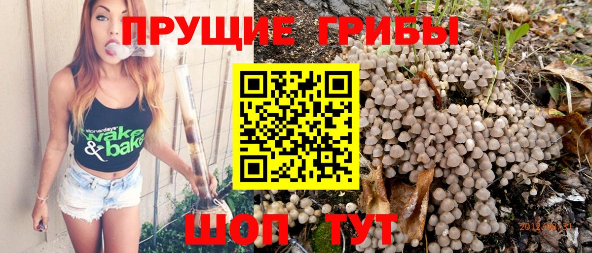 Галлюциногенные грибы GOLDEN TEACHER  Вход с VPN  Норильск 